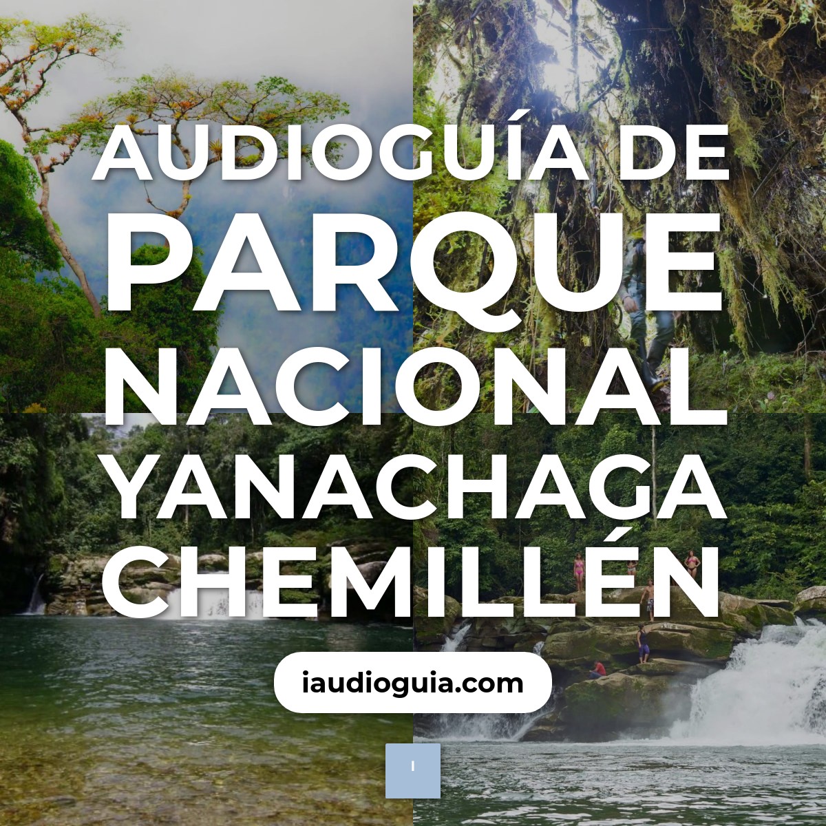 Audioguía de Parque Nacional Yanachaga Chemillen
