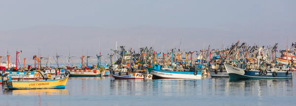 Audioguía de paracas