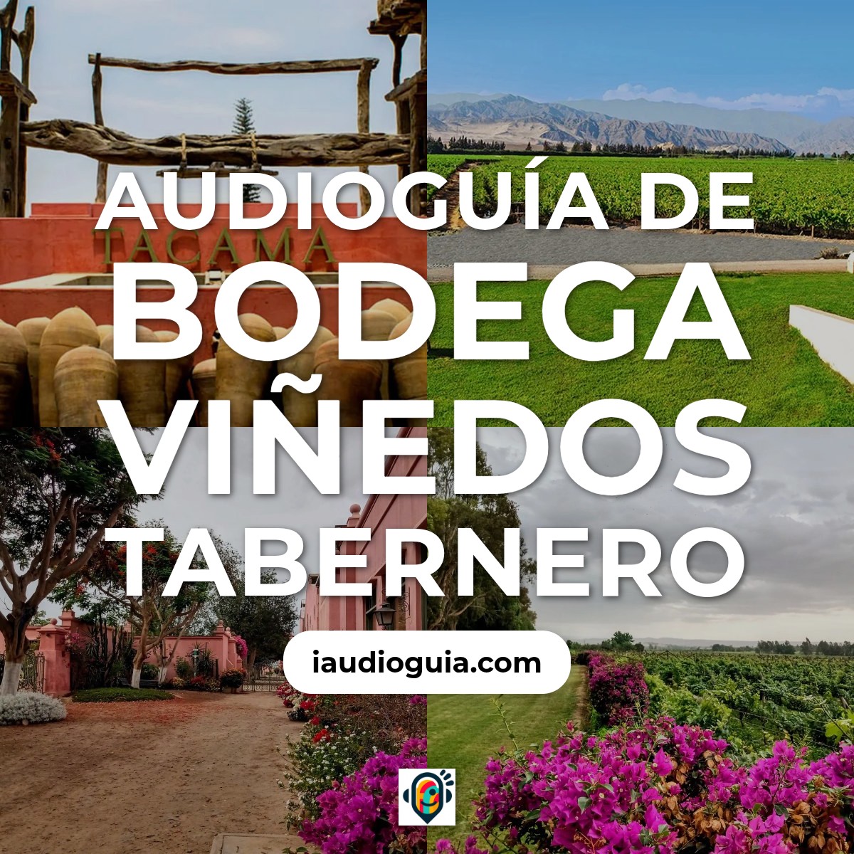 Audioguía de Bodega Vinedos Tabernero