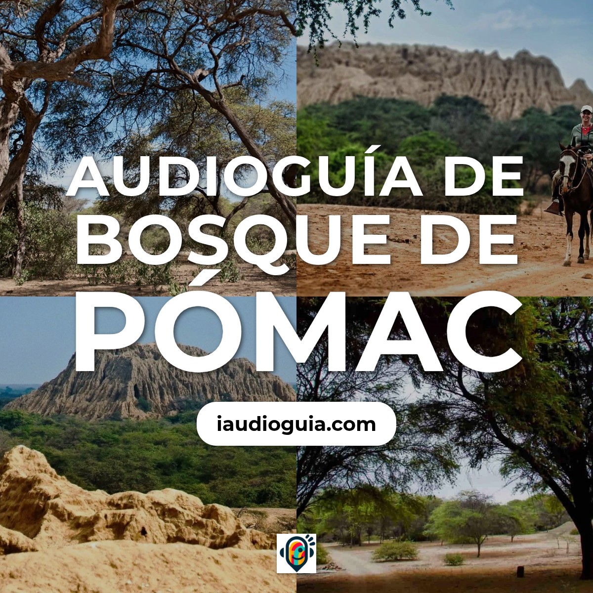 Audioguía de Bosque Pomac