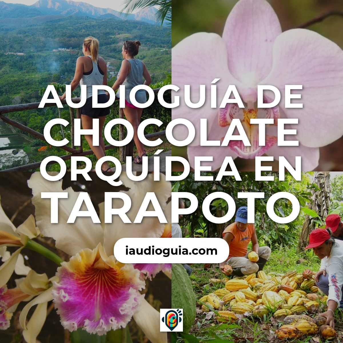 Audioguía de Chocolate Orquidea