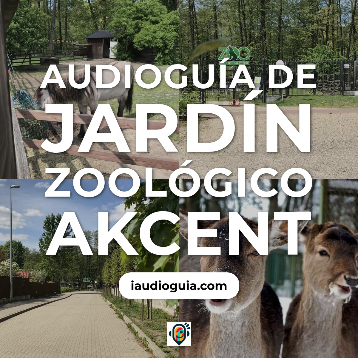 Audioguía de Jardin Zoologico Akcent