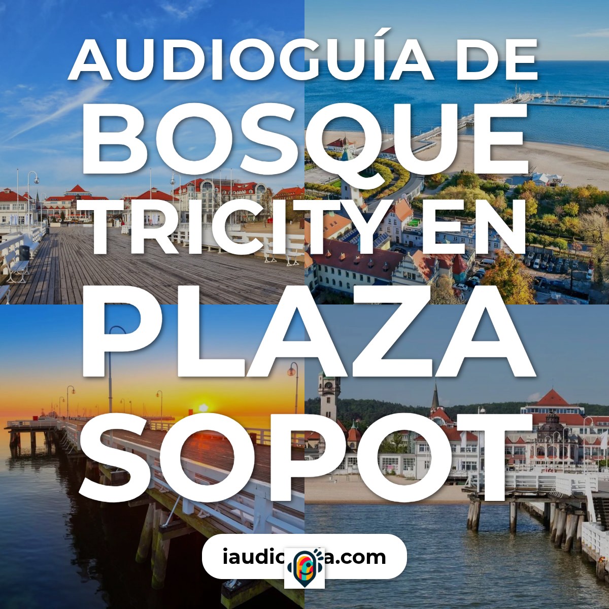 Audioguía de Bosque Tricity