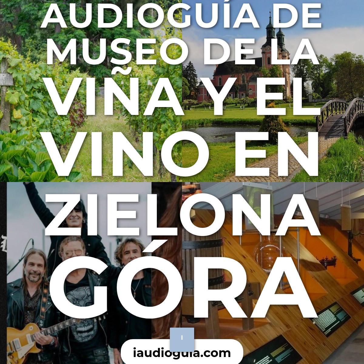 Audioguía de Museo Vina Vino