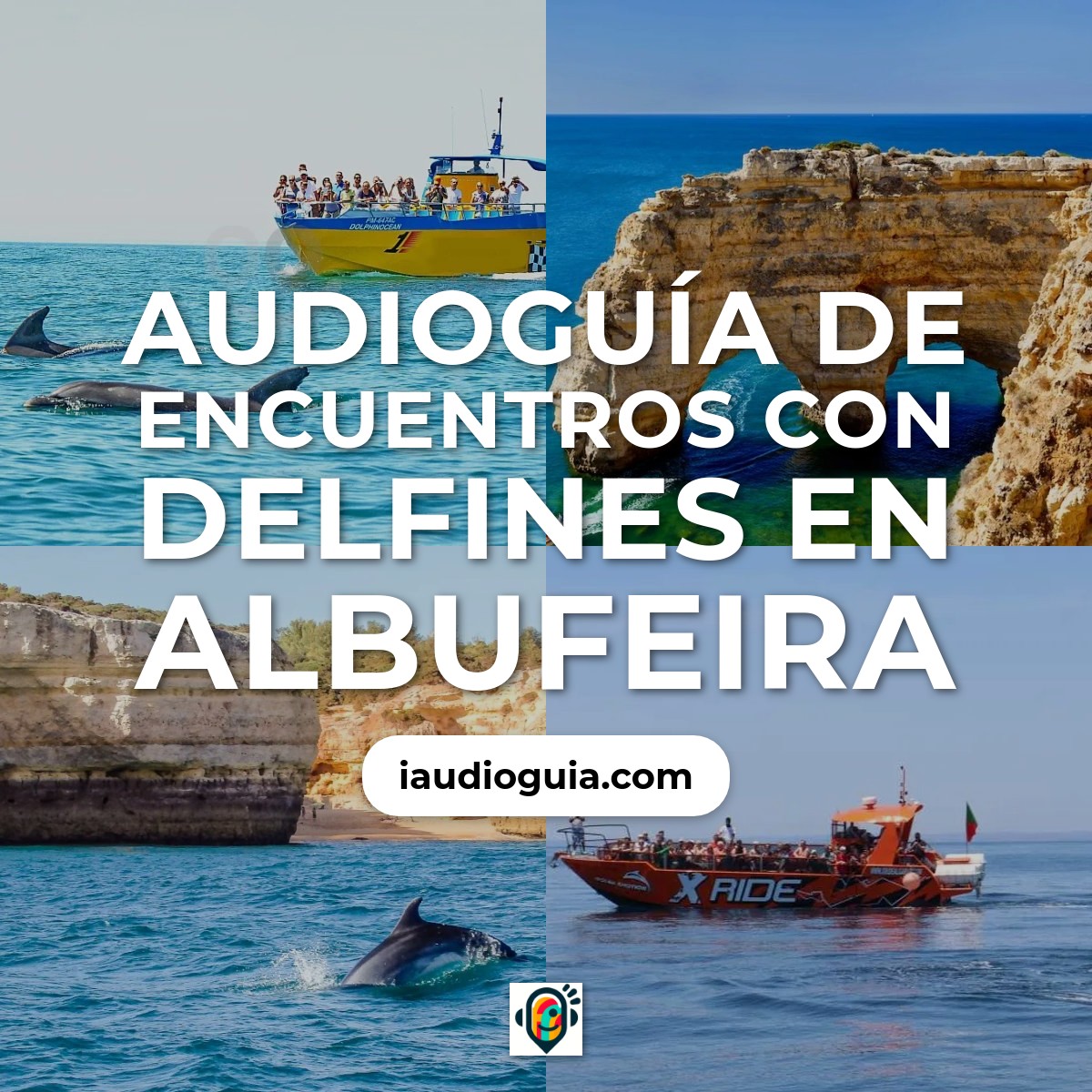 Audioguía de Tours Avistamiento Delfines