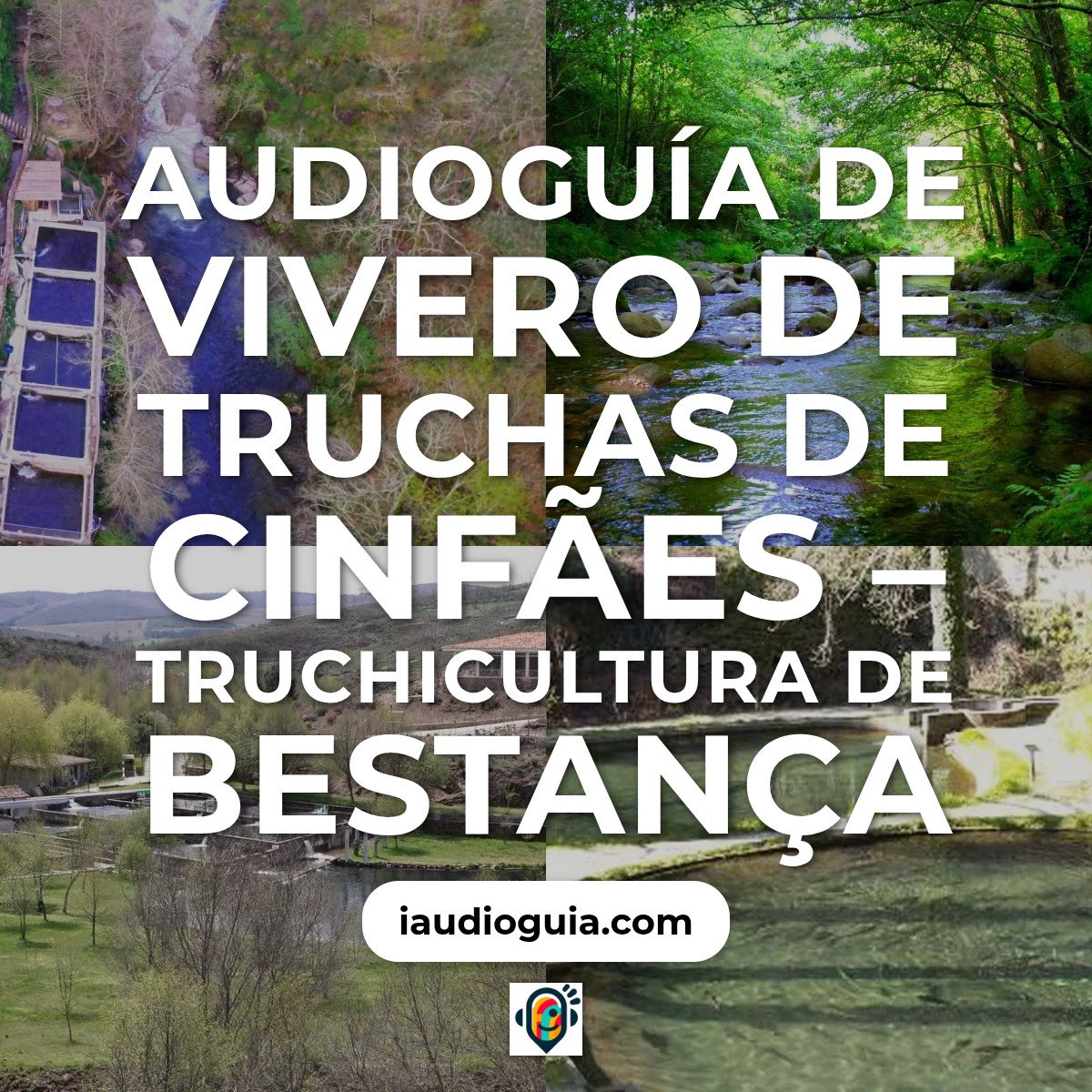 Audioguía de Viveiro Trutas Em Cinfaes Truticultura Do Bestanca