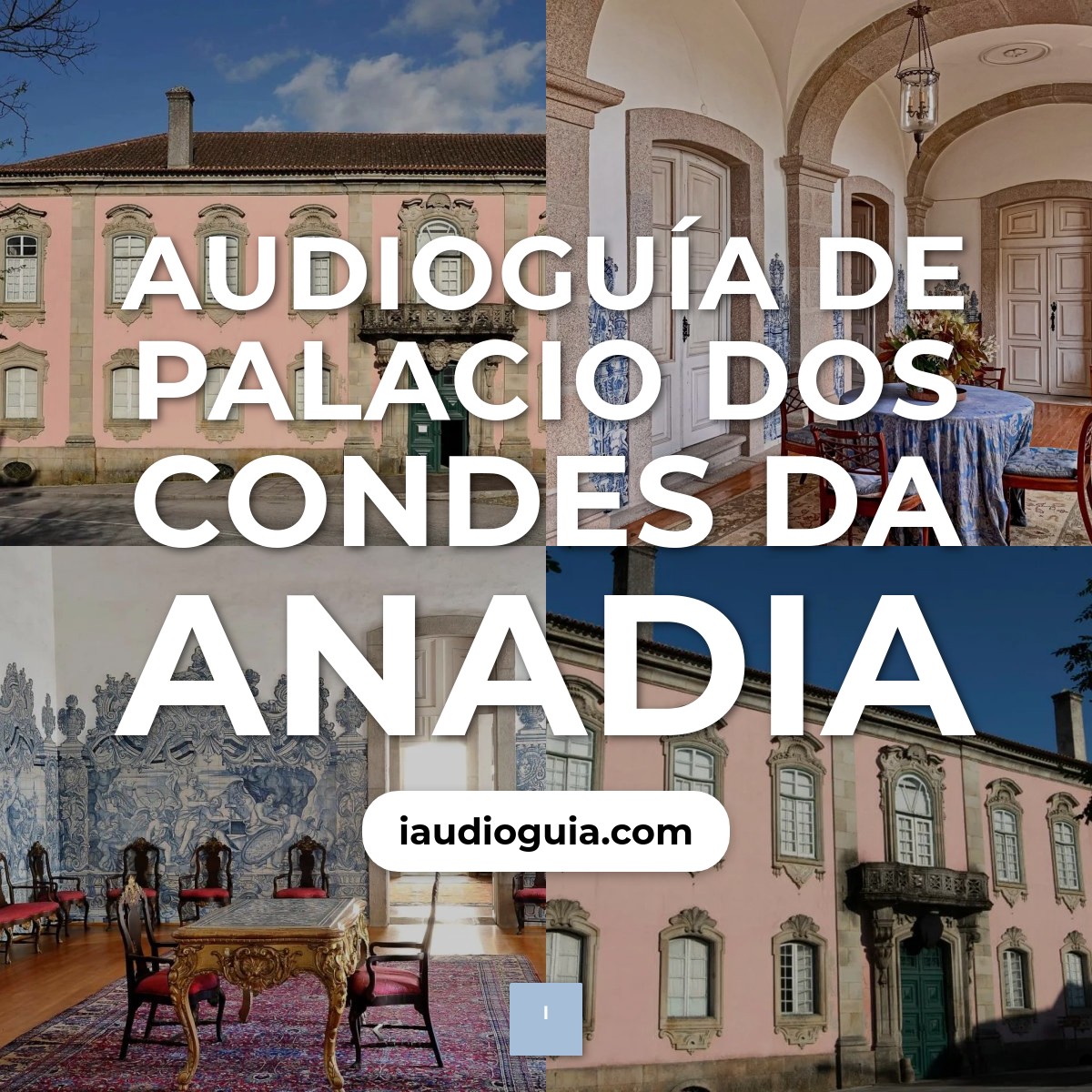 Audioguía de Palacio Dos Condes Da Anadia