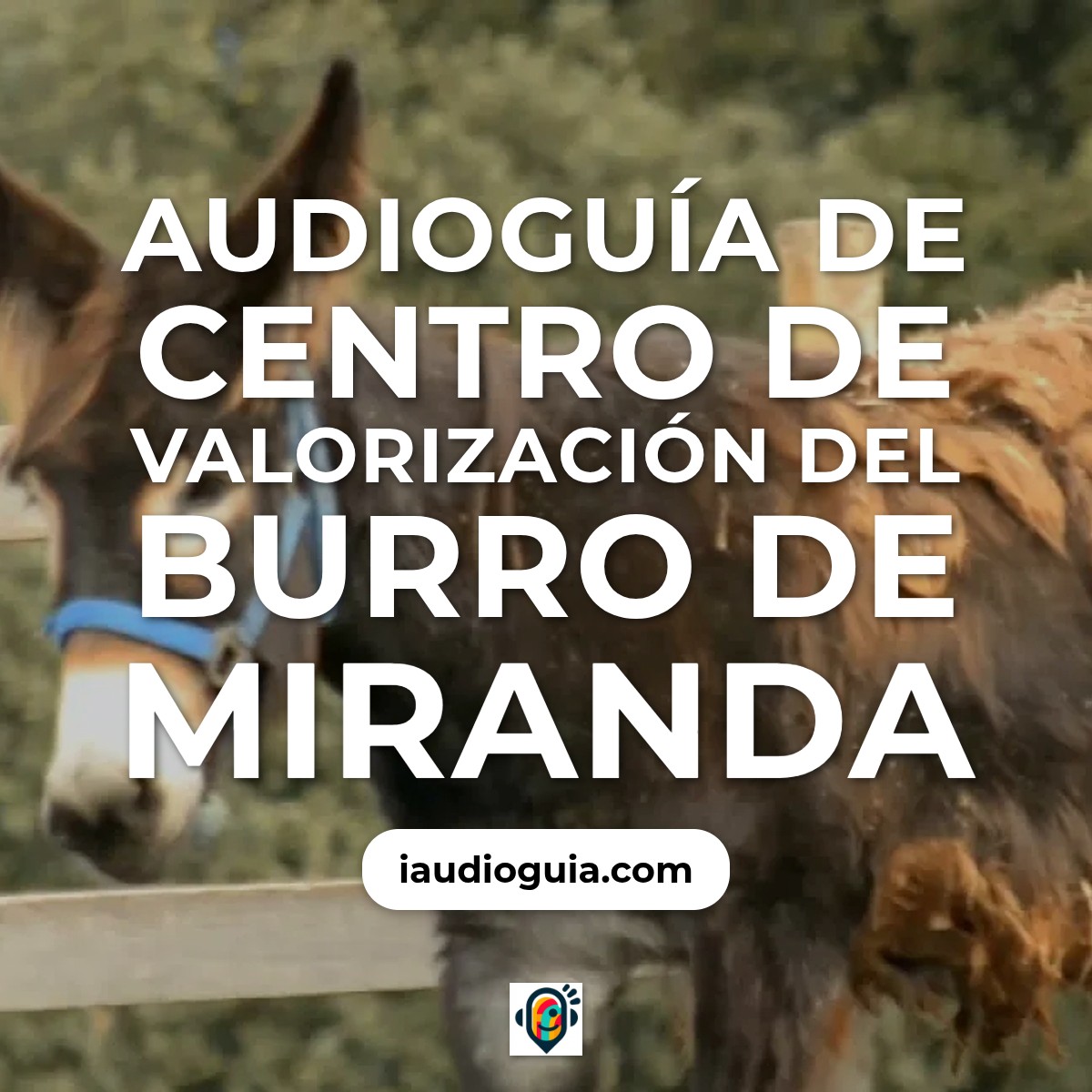 Audioguía de Centro Valorizacao Do Burro Miranda
