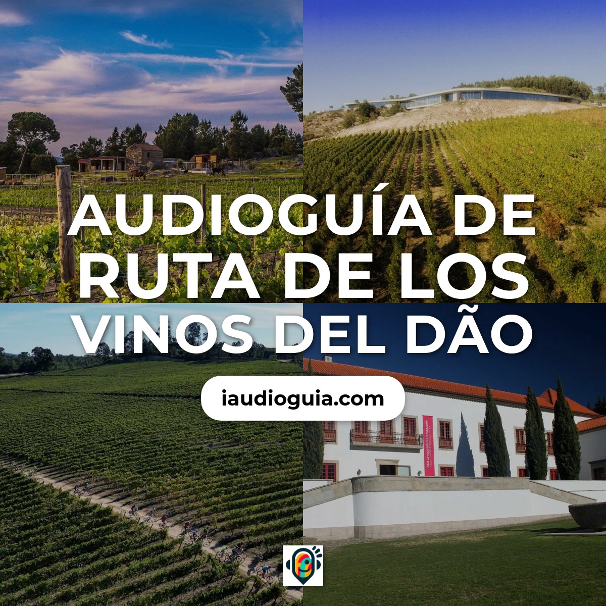 Audioguía de Ruta Vinhos Do Dao