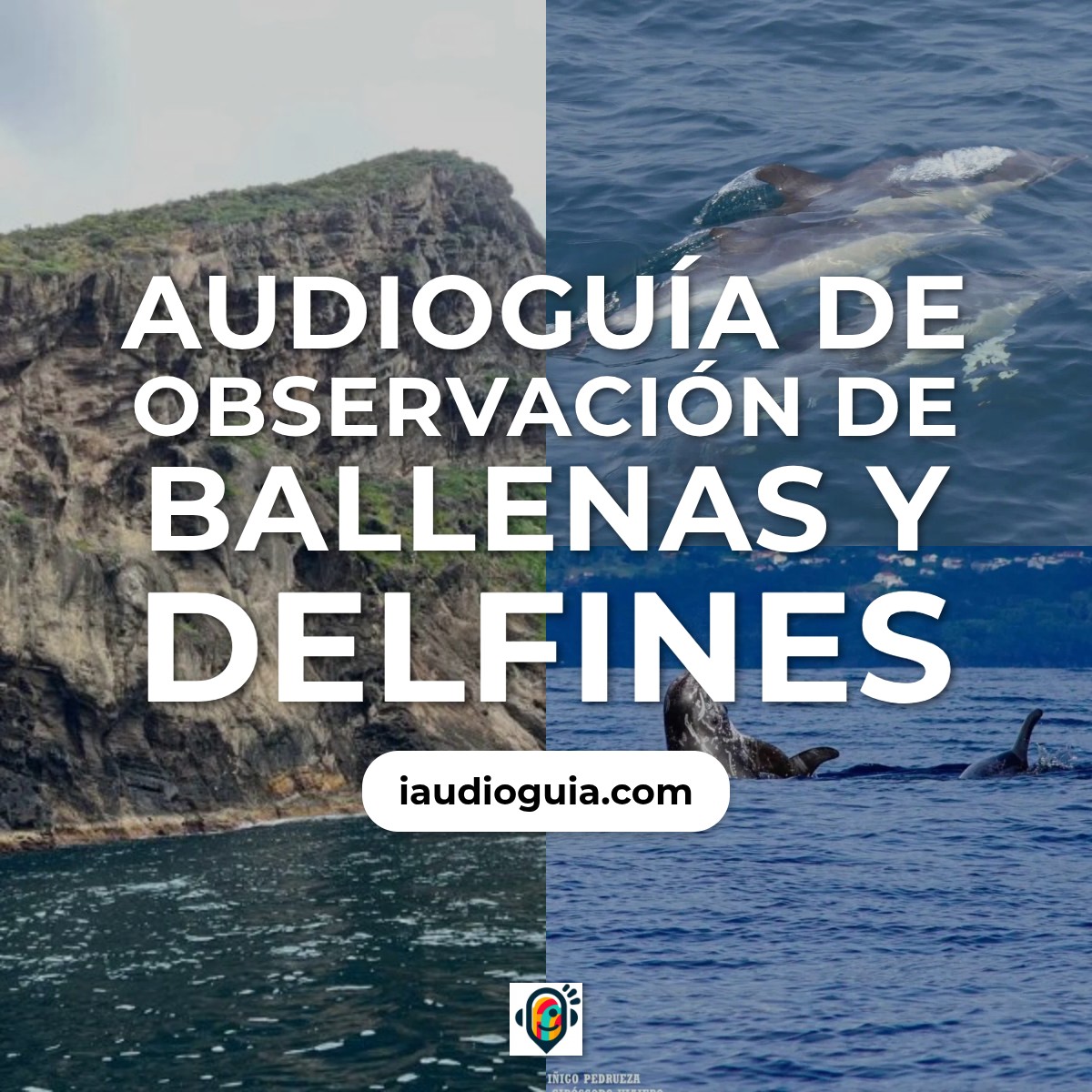 Audioguía de Observacion Ballenas Delfines