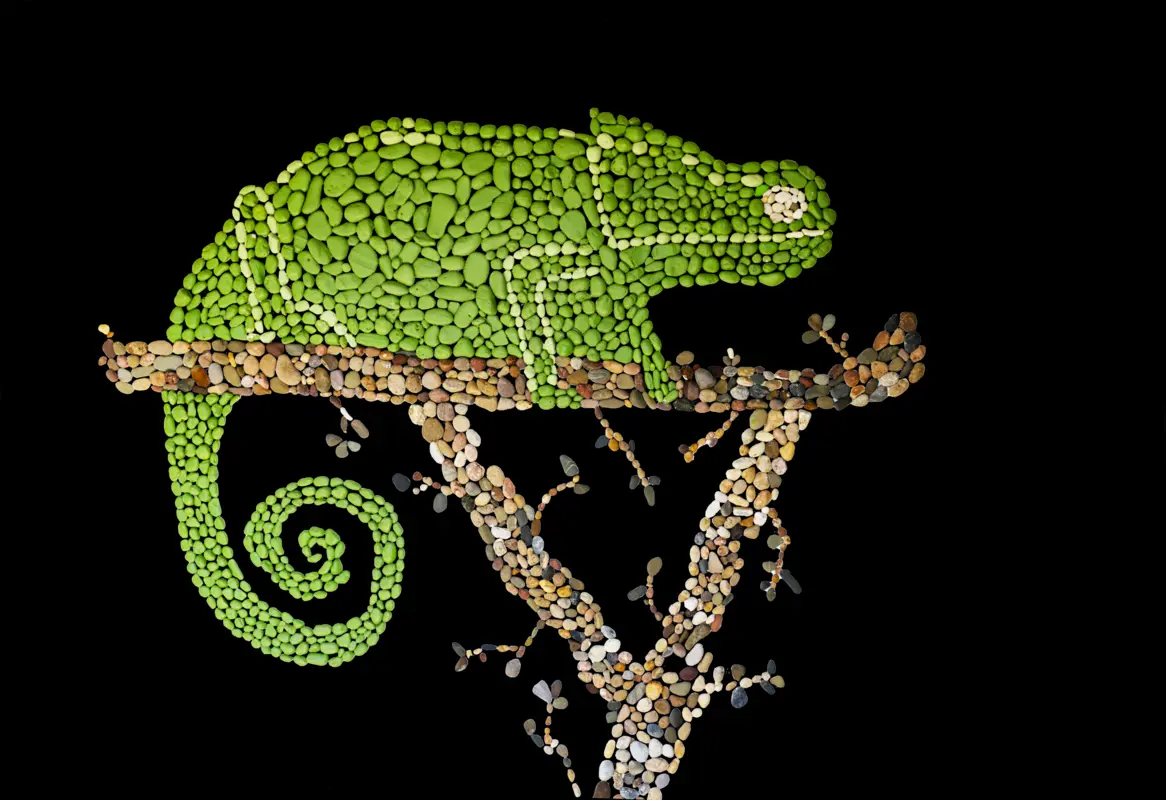 Audioguía de Parque Natural Da Ria Formosa