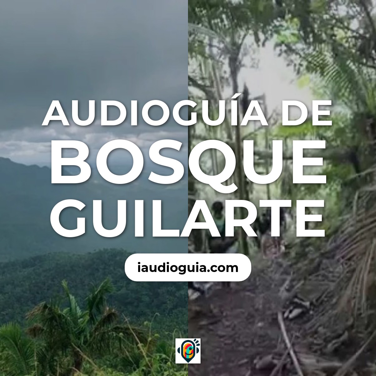 Audioguía de Bosque Guilarte