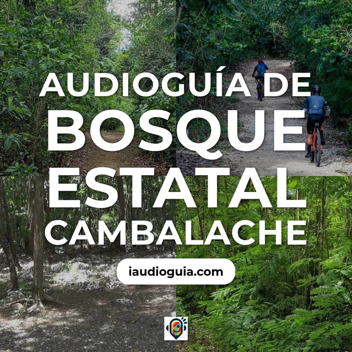 Audioguía de Bosque Estatal Cambalache
