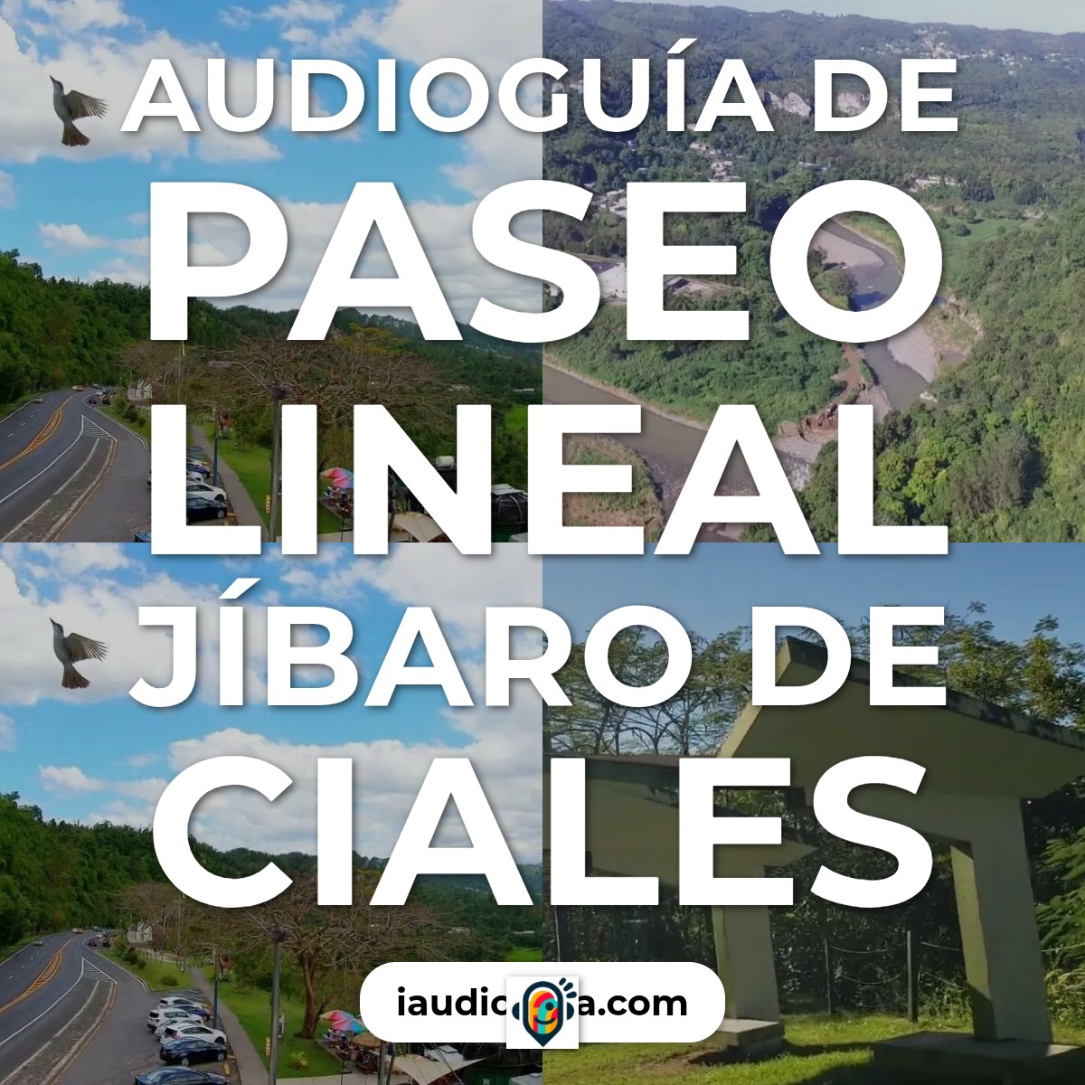 Audioguía de Paseo Lineal Jibaro