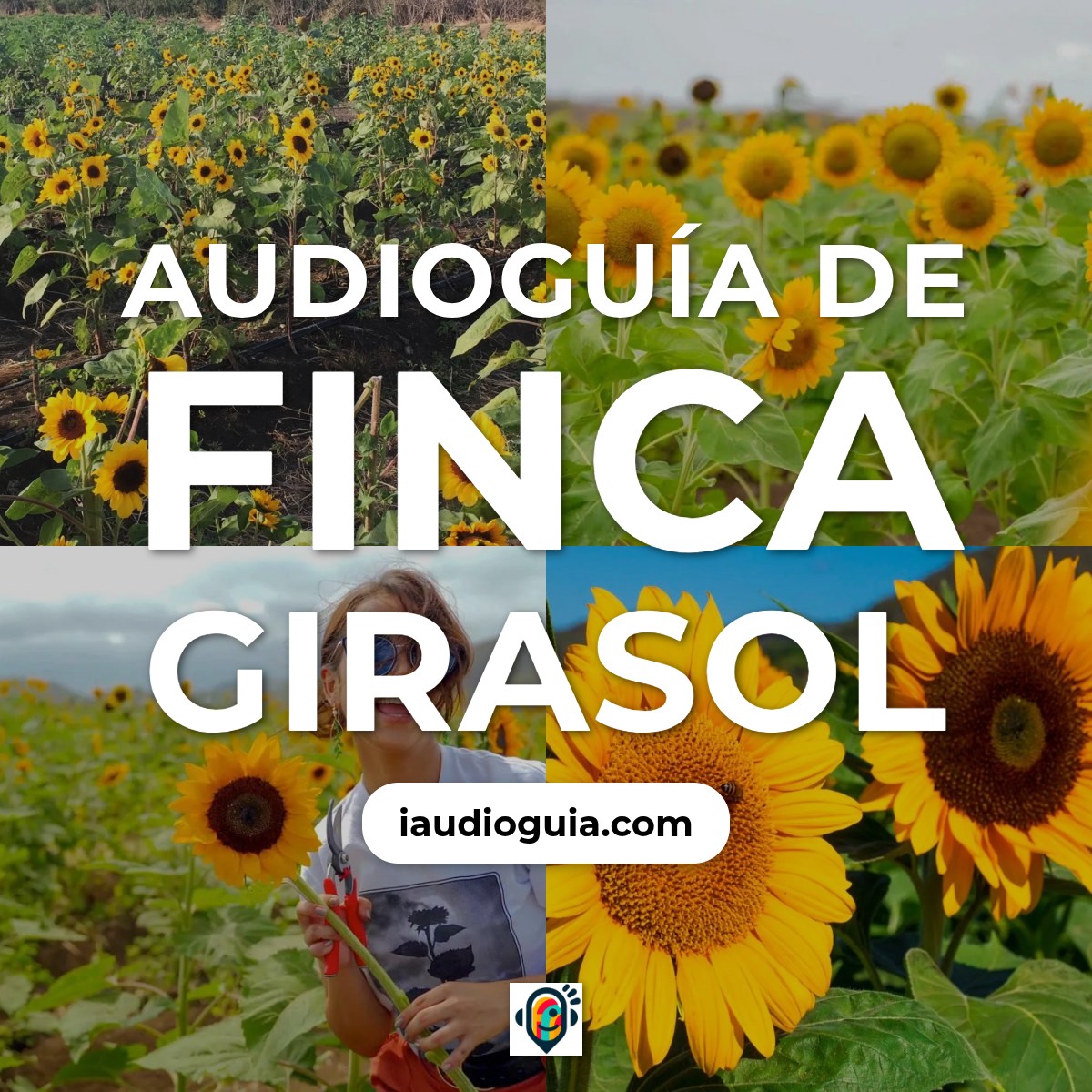 Audioguía de Finca Girasol