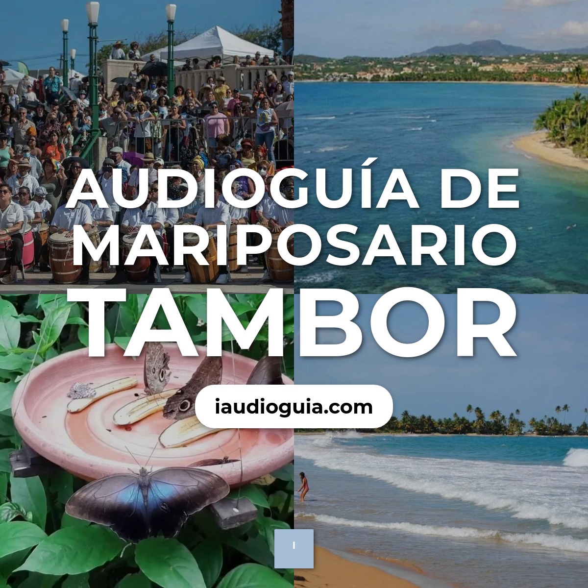 Audioguía de Mariposario Tambor