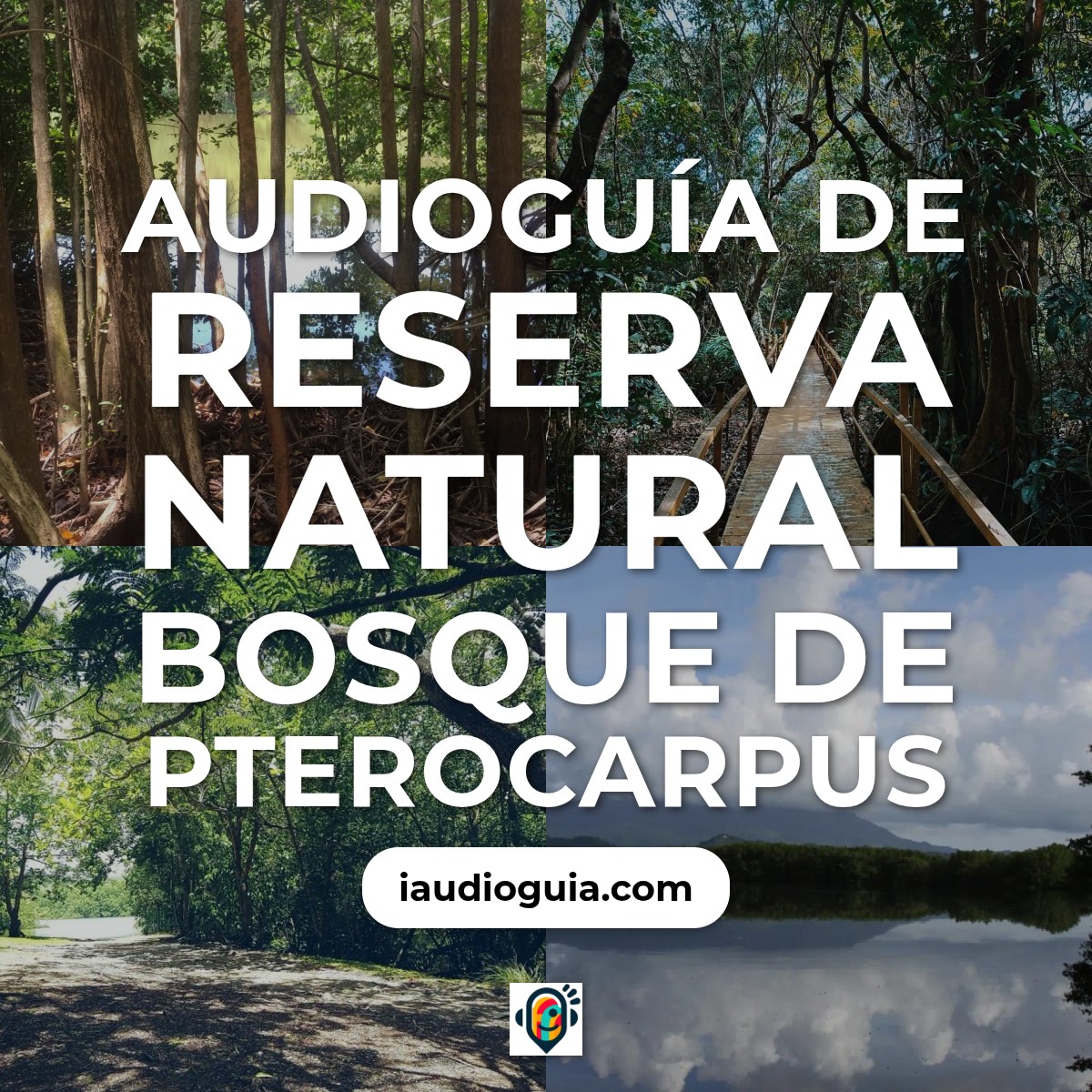 Audioguía de Reserva Natural Bosque Pterocarpus