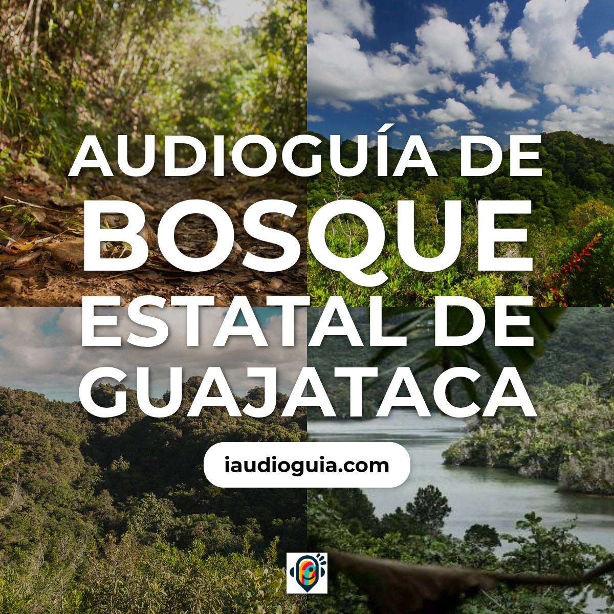 Audioguía de Bosque Estatal Guajataca