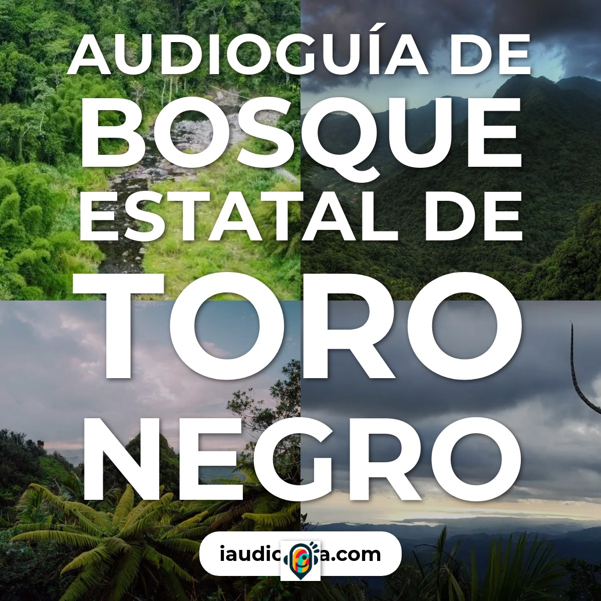 Audioguía de Toro Negro State Forest