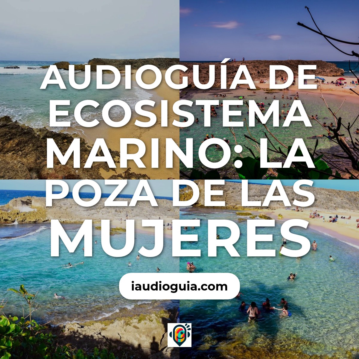 Audioguía de Ecosistema Marino