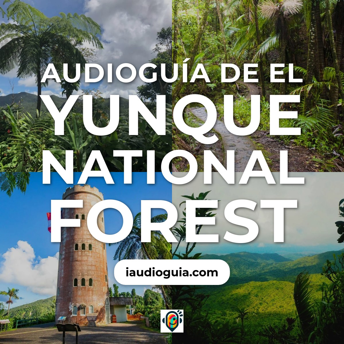Audioguía de Yunque National Forest
