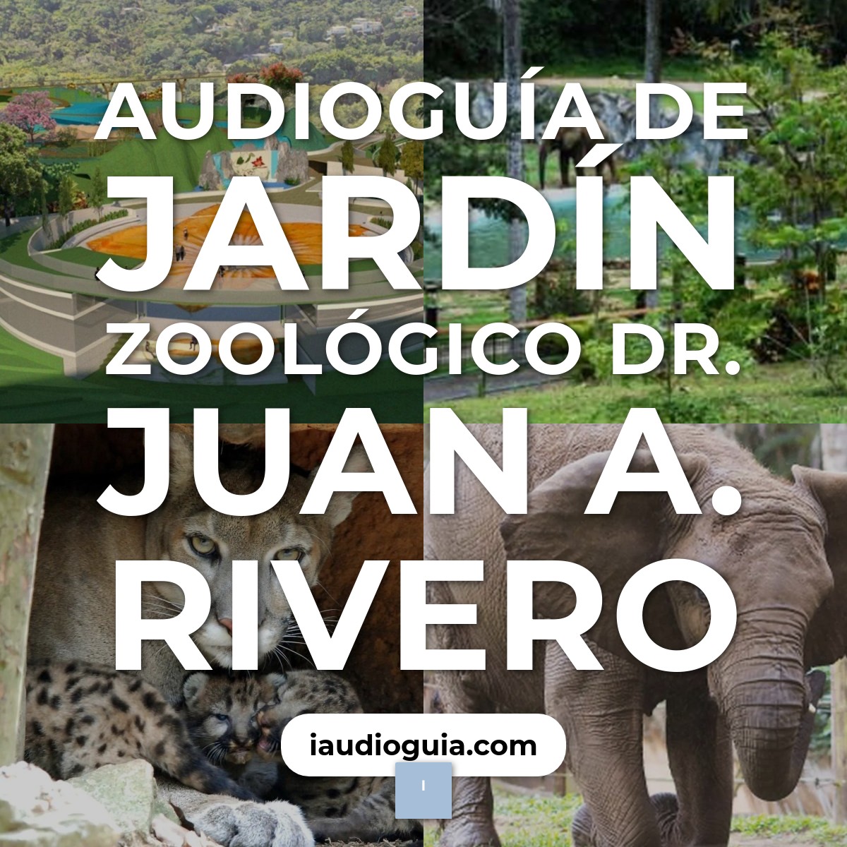 Audioguía de Jardin Zoologico Dr Juan A Rivero