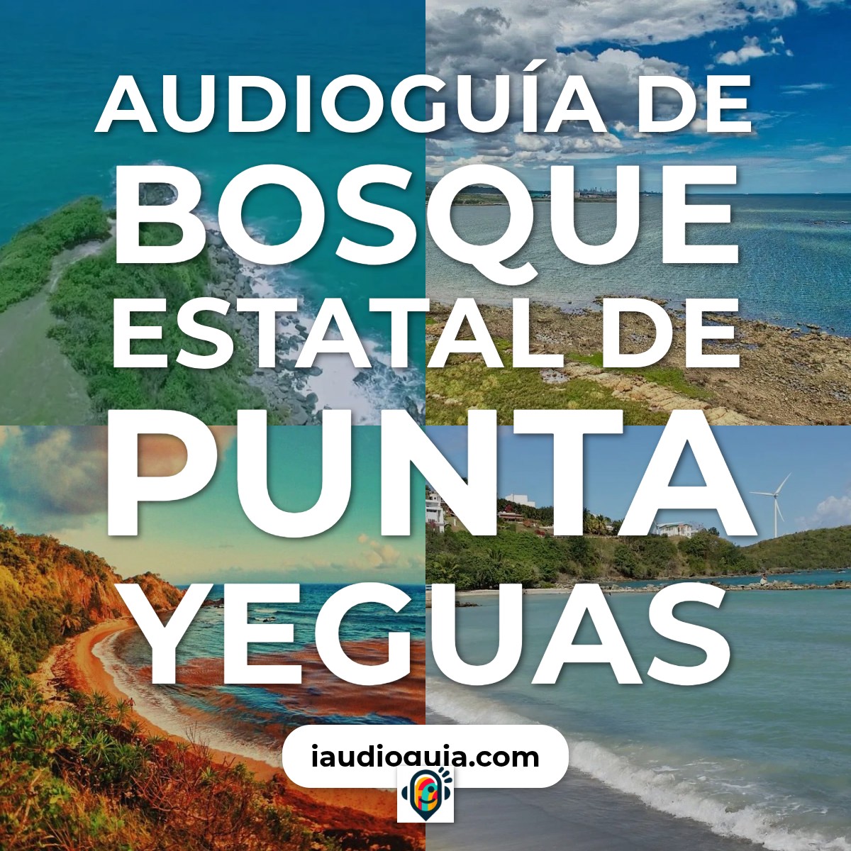 Audioguía de Bosque Estatal Punta Yeguas
