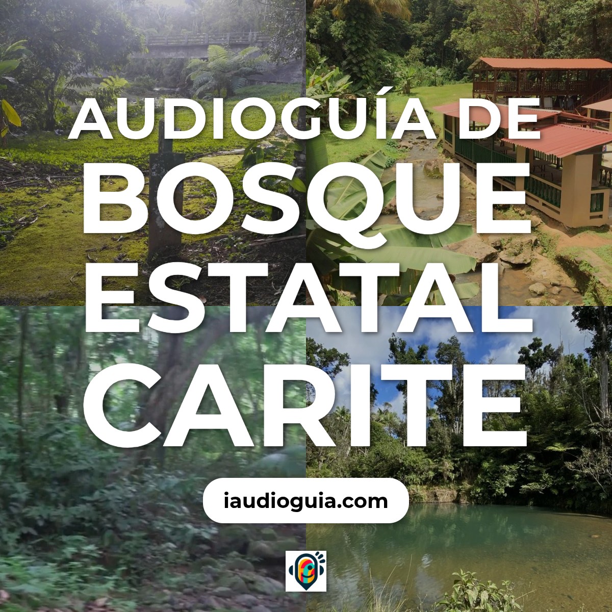 Audioguía de Bosque Estatal Carite