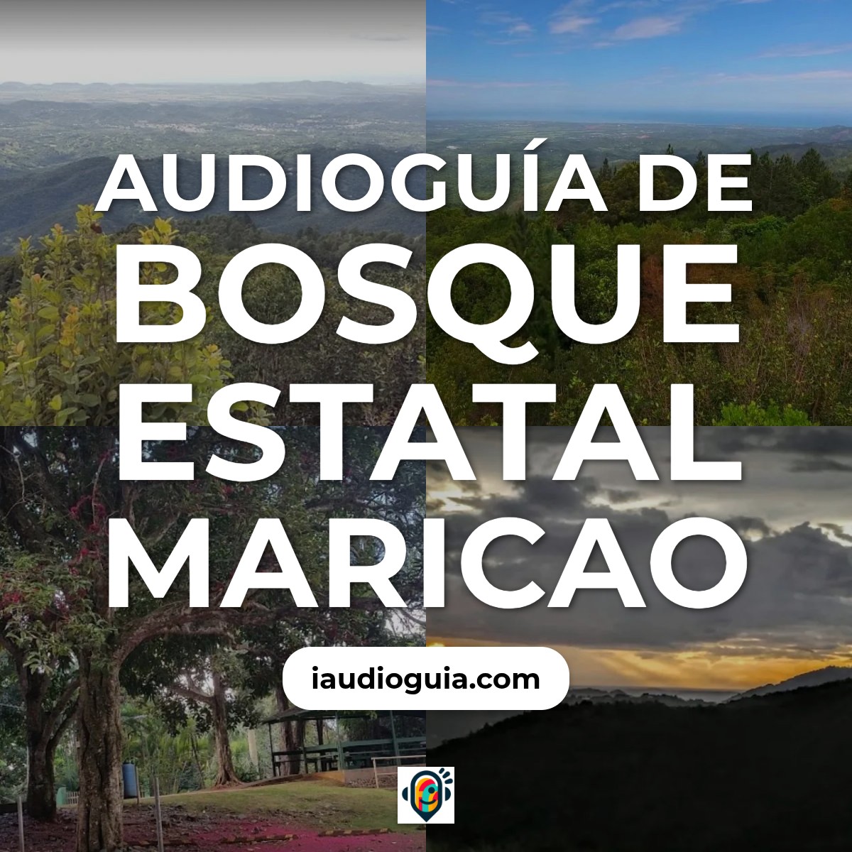 Audioguía de Bosque Estatal Maricao