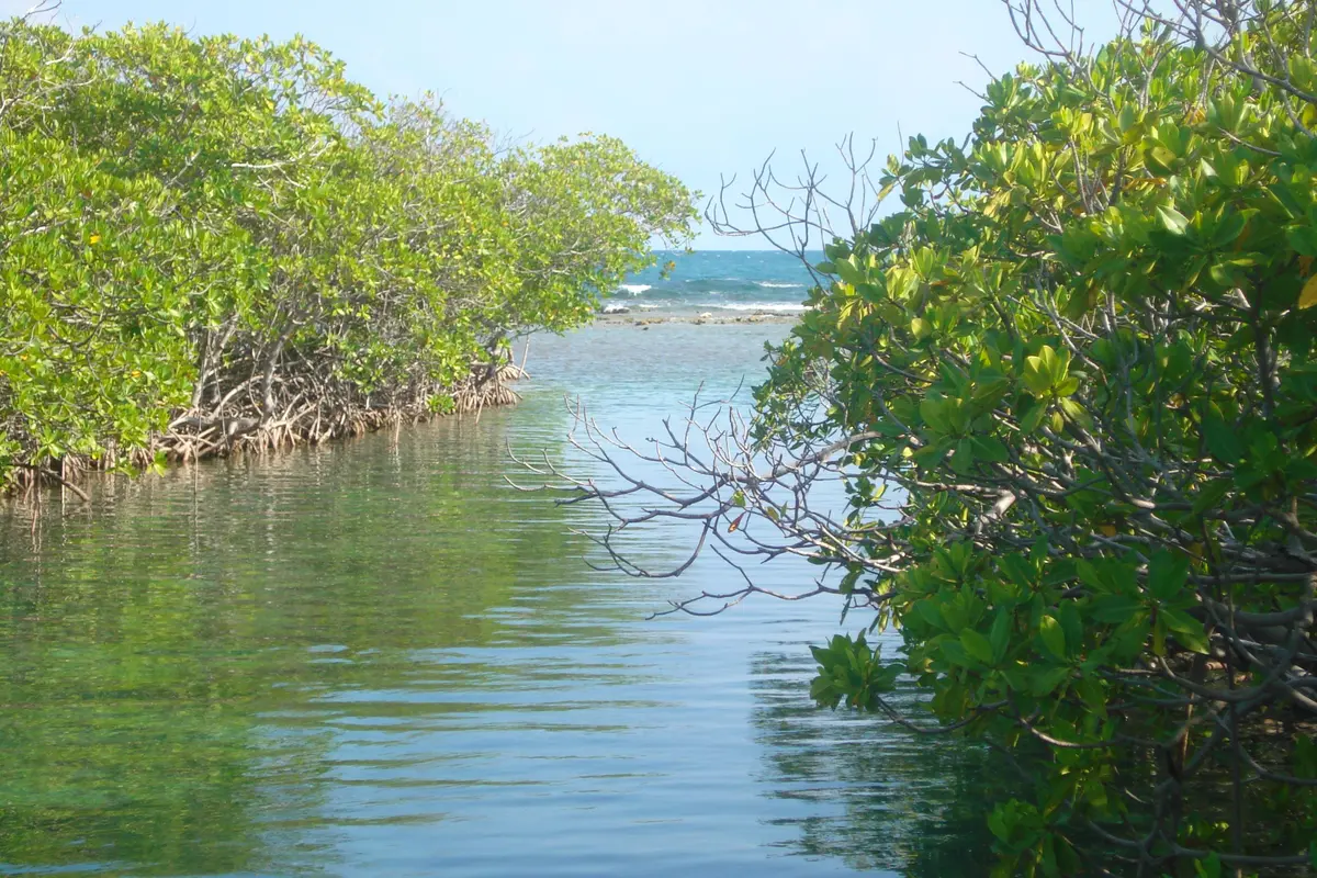 Audioguía de Salinas