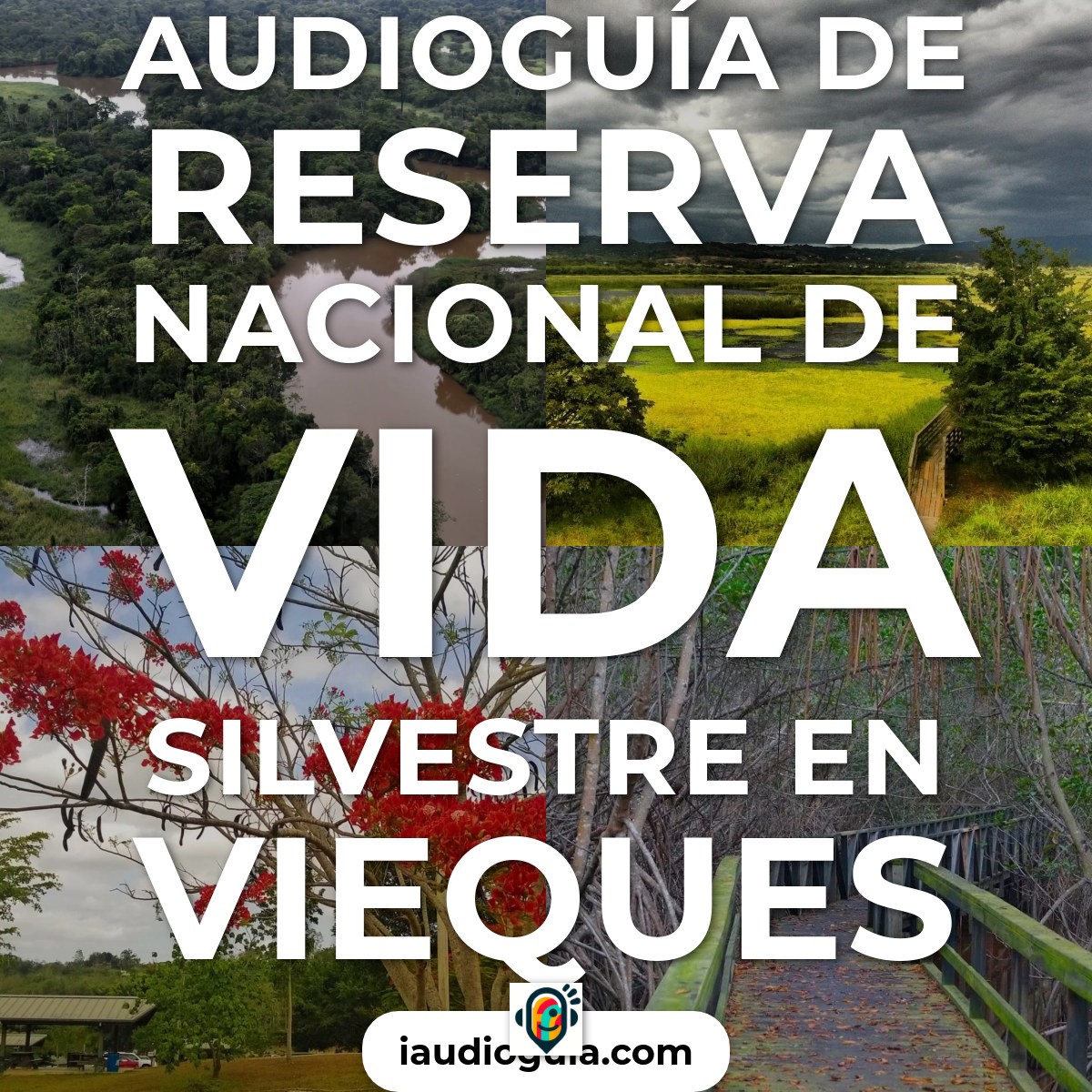 Reserva Nacional de Vida Silvestre en Vieques