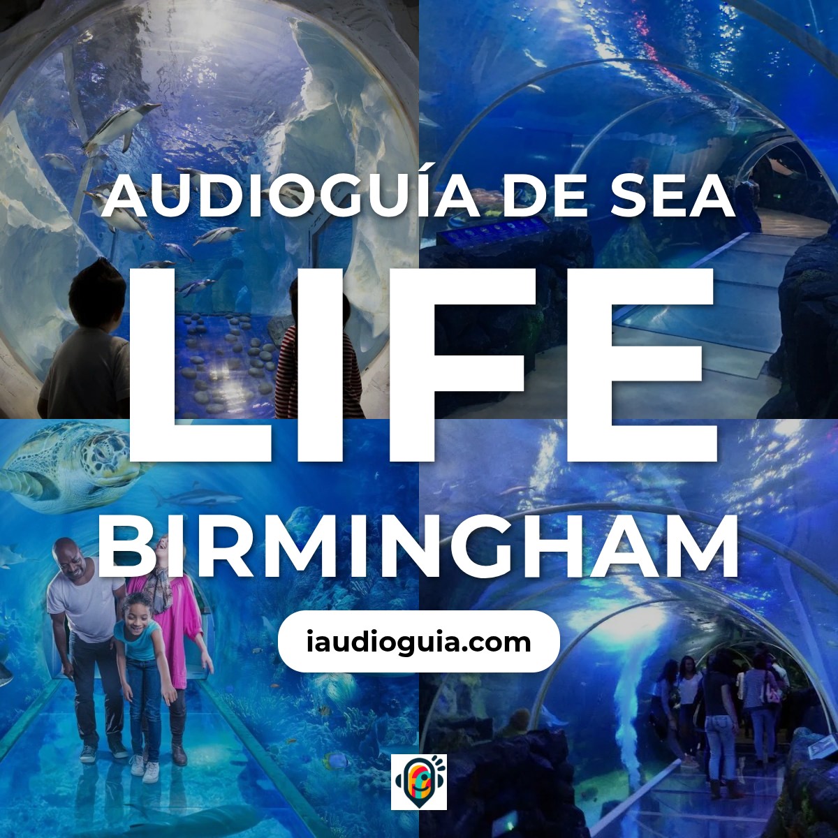 Audioguía de Birmingham