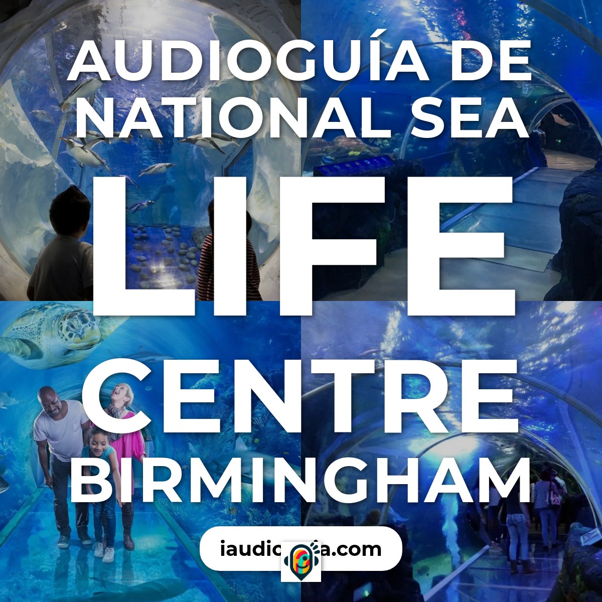 Audioguía de National Sea Life Centre