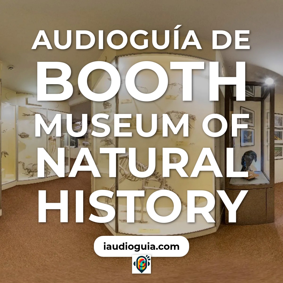 Audioguía de Booth Museum Of Natural History