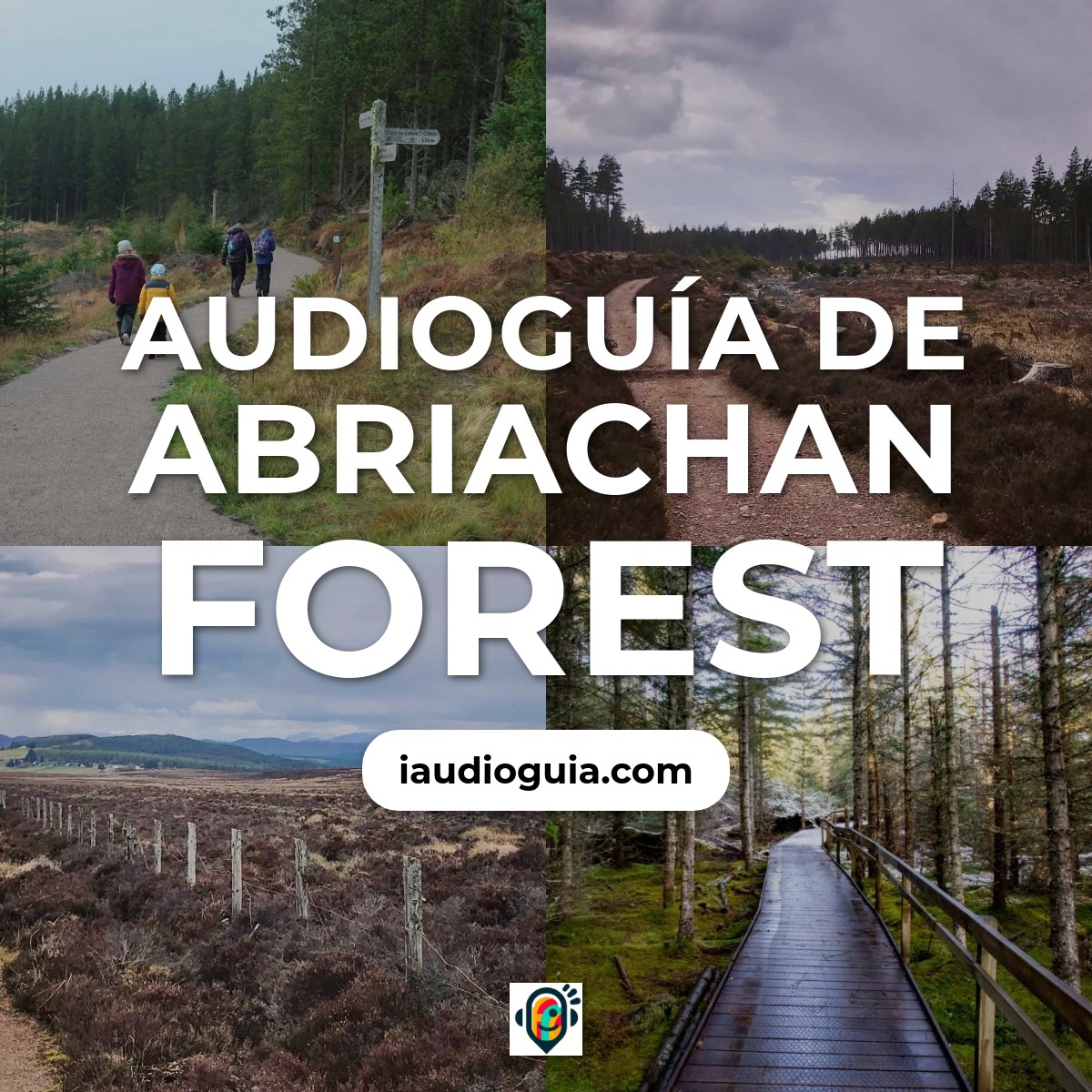Audioguía de Abriachan Forest