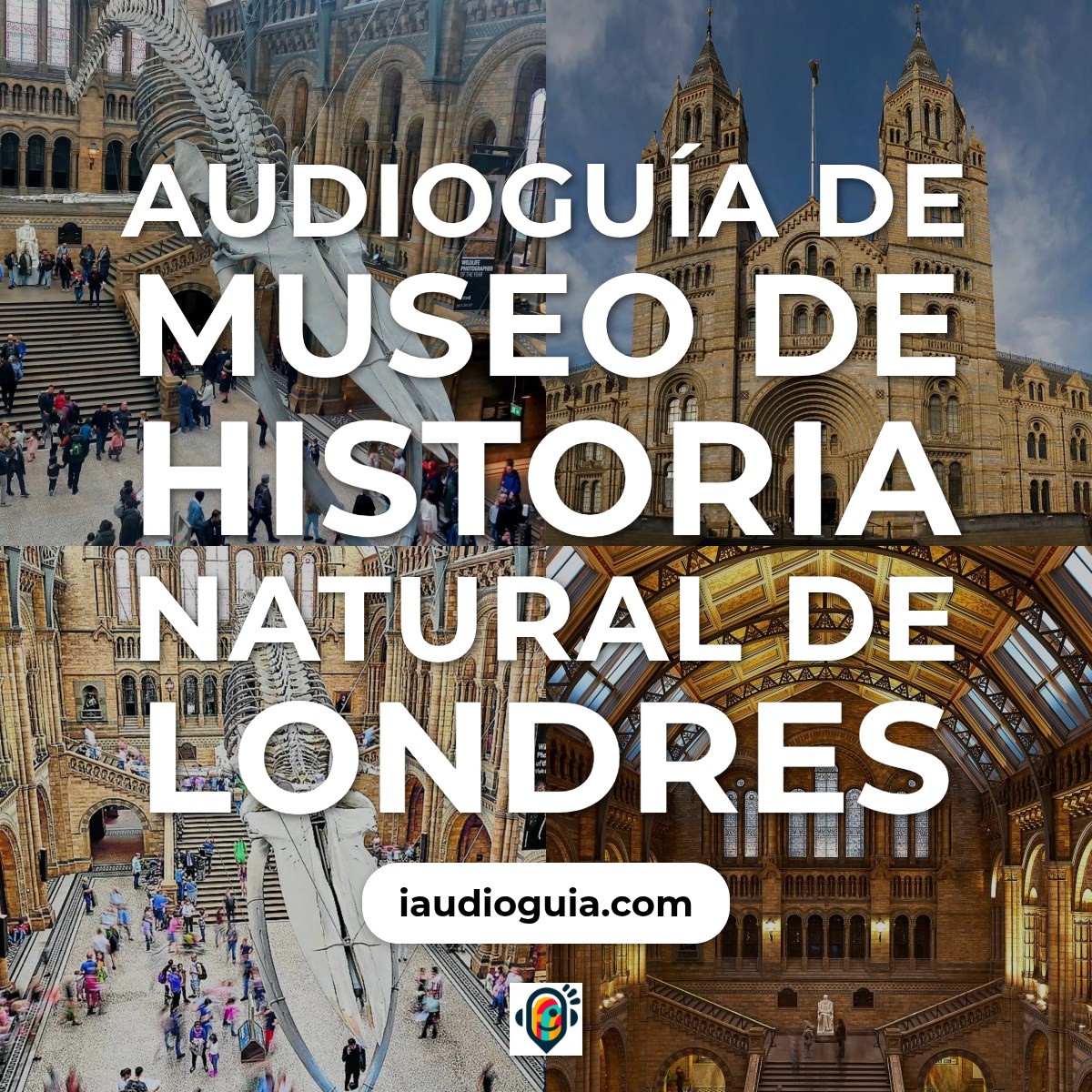 Audioguía de Museo Historia Natural