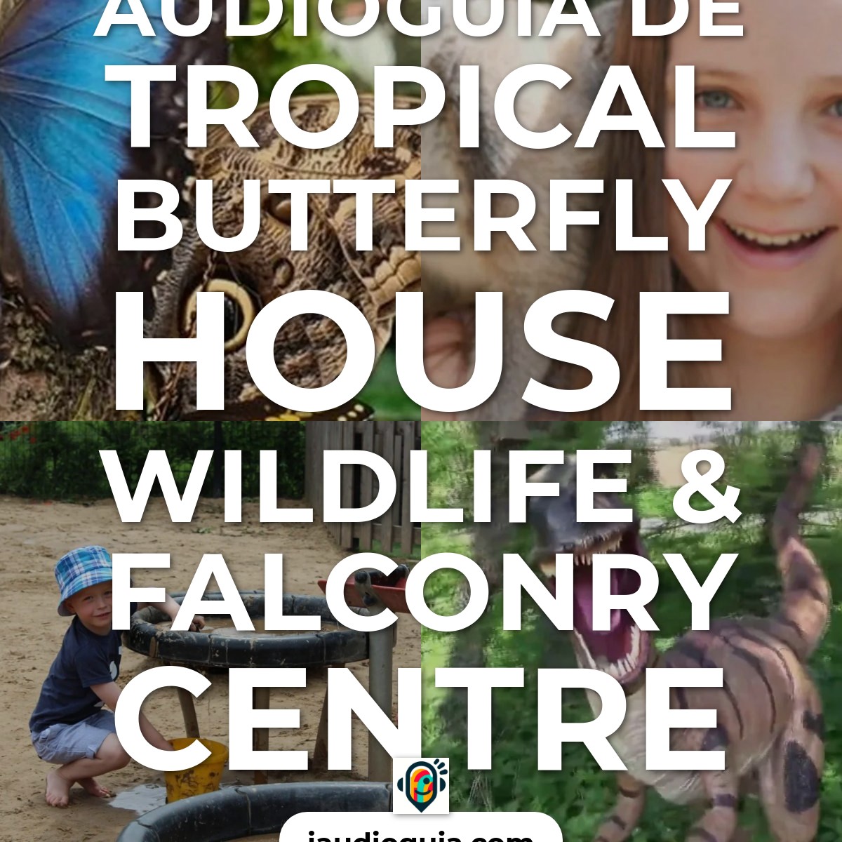 Audioguía de Tropical Butterfly House Wildlife & Falconry Centre
