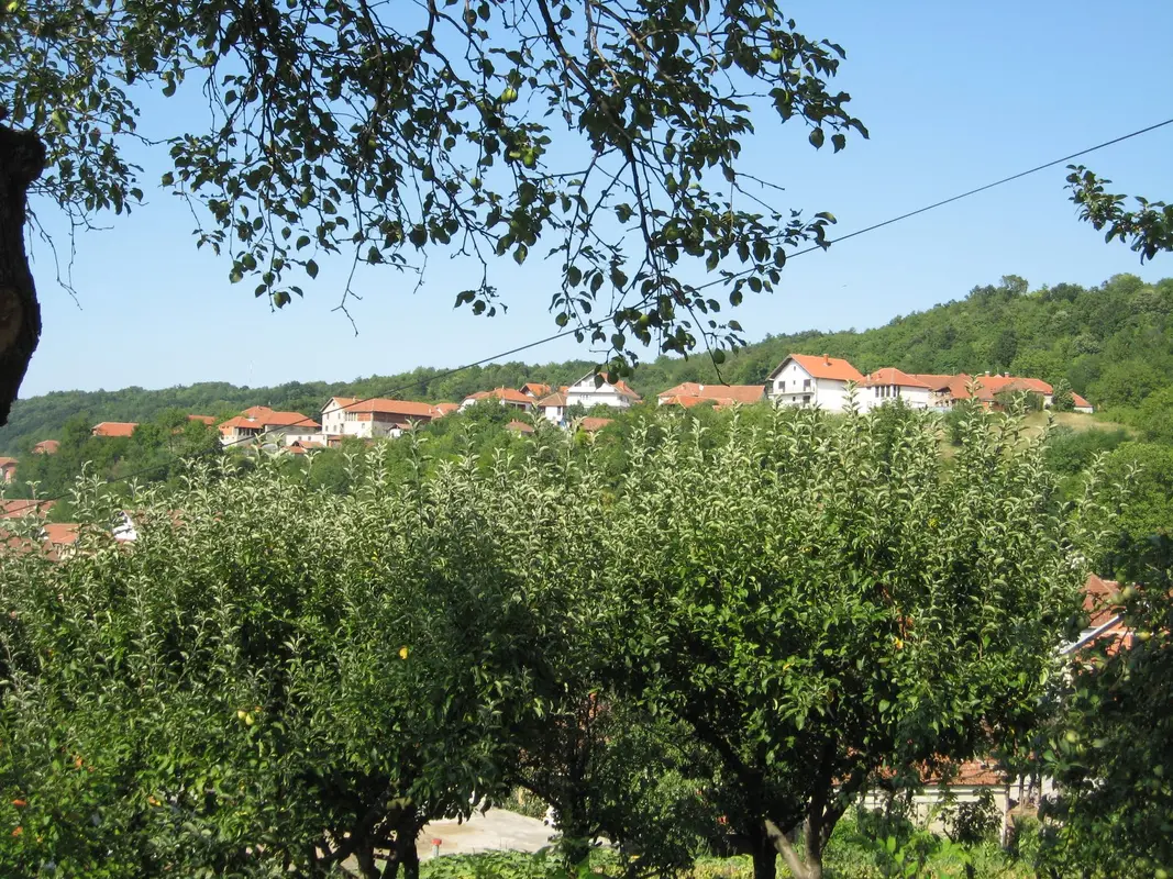 Audioguía de Negotin