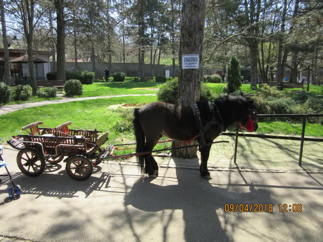 Audioguía de Jagodina Zoo