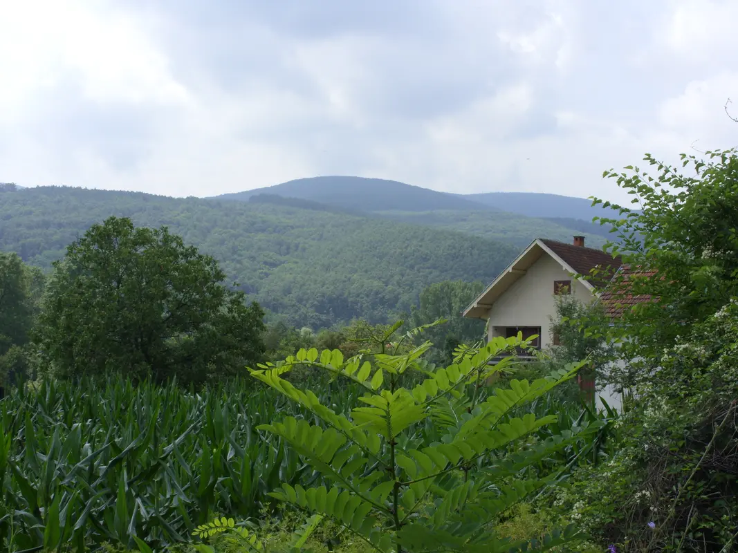 Audioguía de Aleksinac
