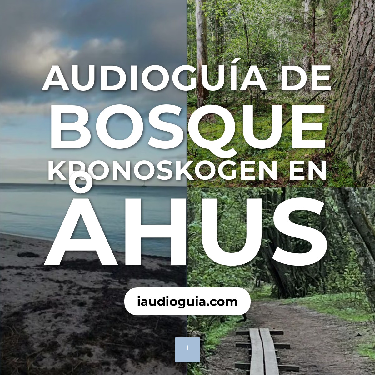Audioguía de Kronoskogen Forest