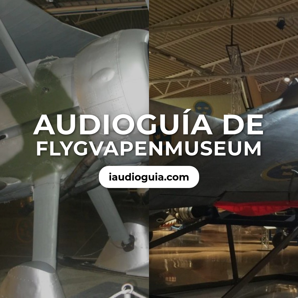 Flygvapenmuseum