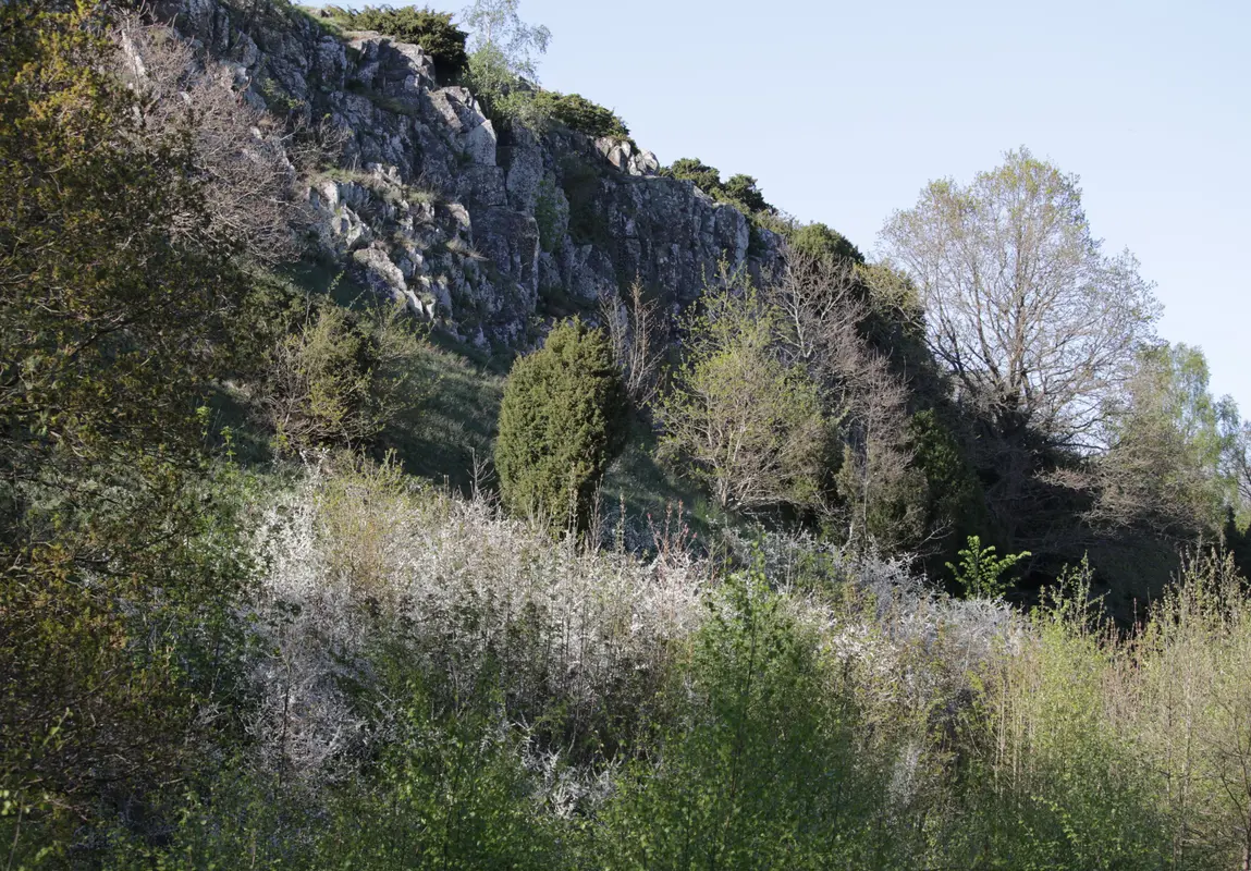 Audioguía de Billebjer