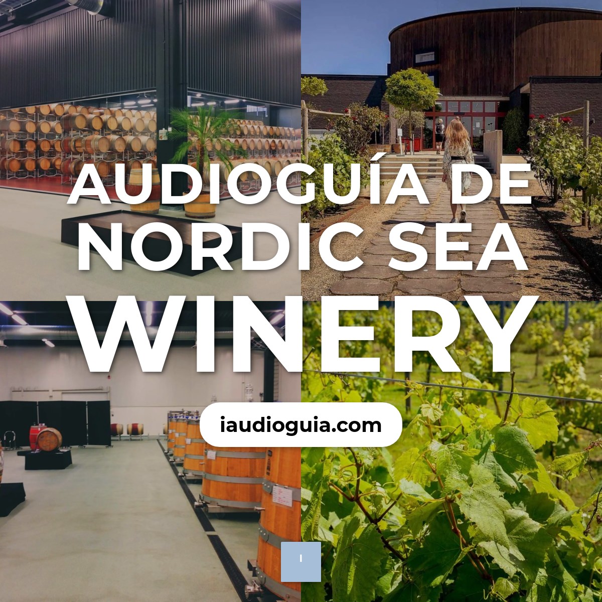 Audioguía de Nordic Sea Winery