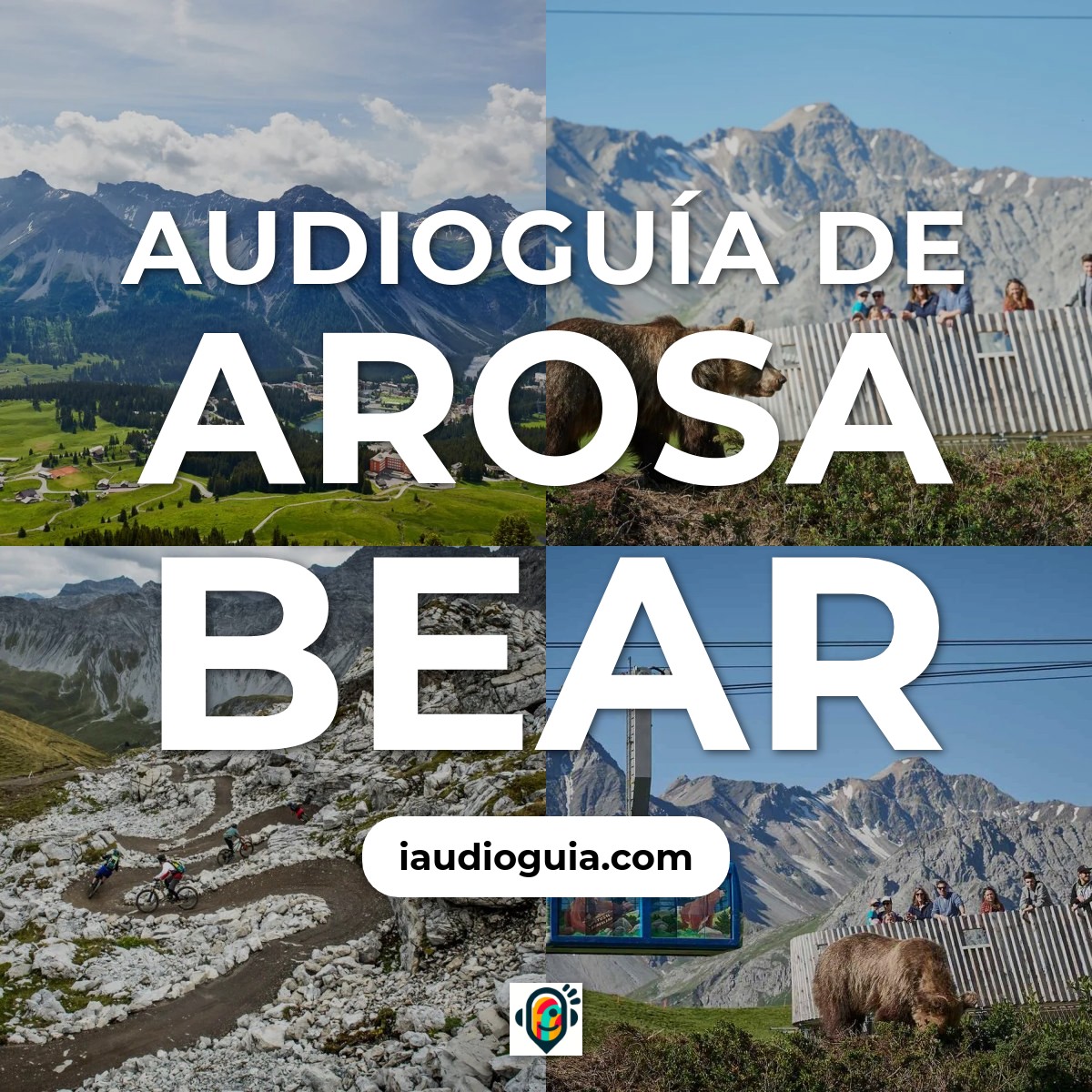 Audioguía de Arosa Bear