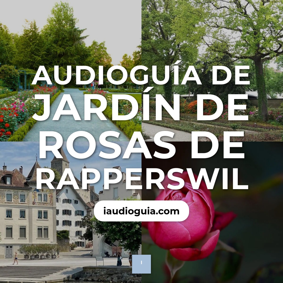 Audioguía de Jardin Rosas