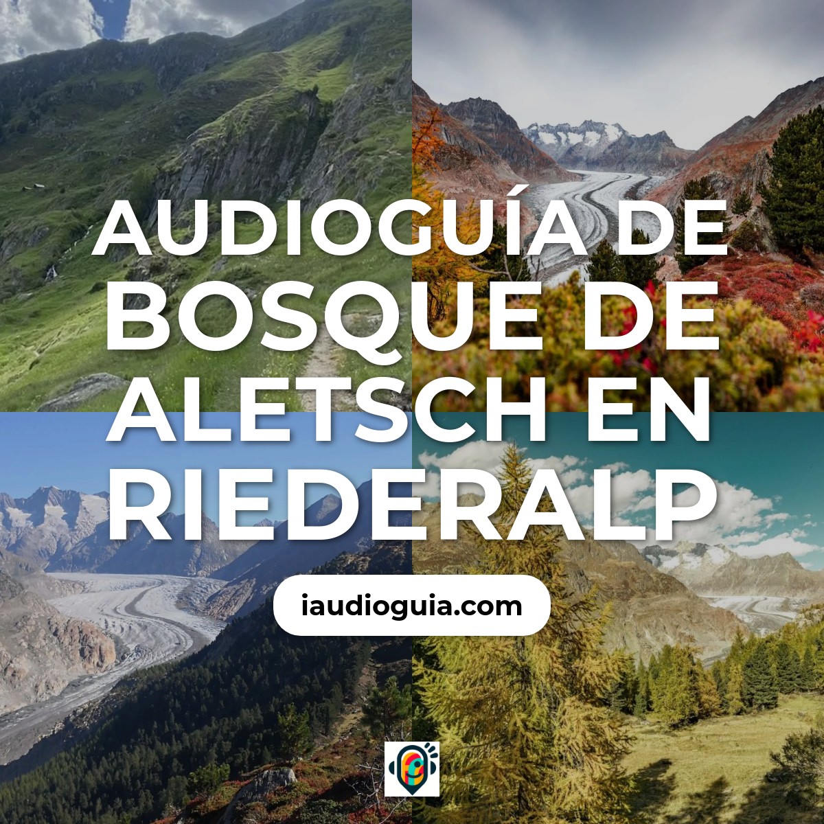 Audioguía de Aletsch Forest