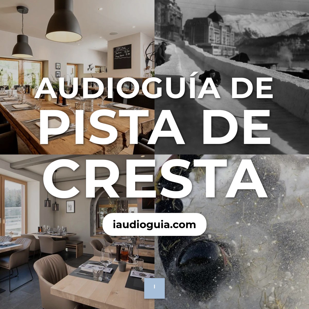 Audioguía de Cresta Run