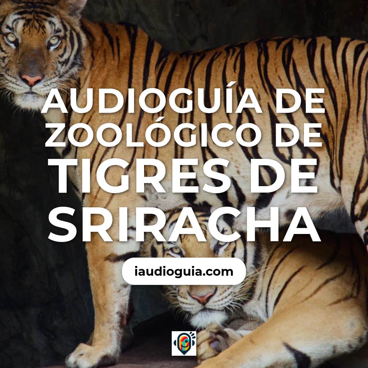 Audioguía de Zoologico Tigres Sriracha
