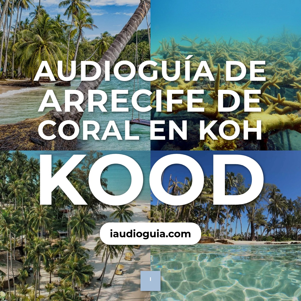 Audioguía de Arrecife Coral